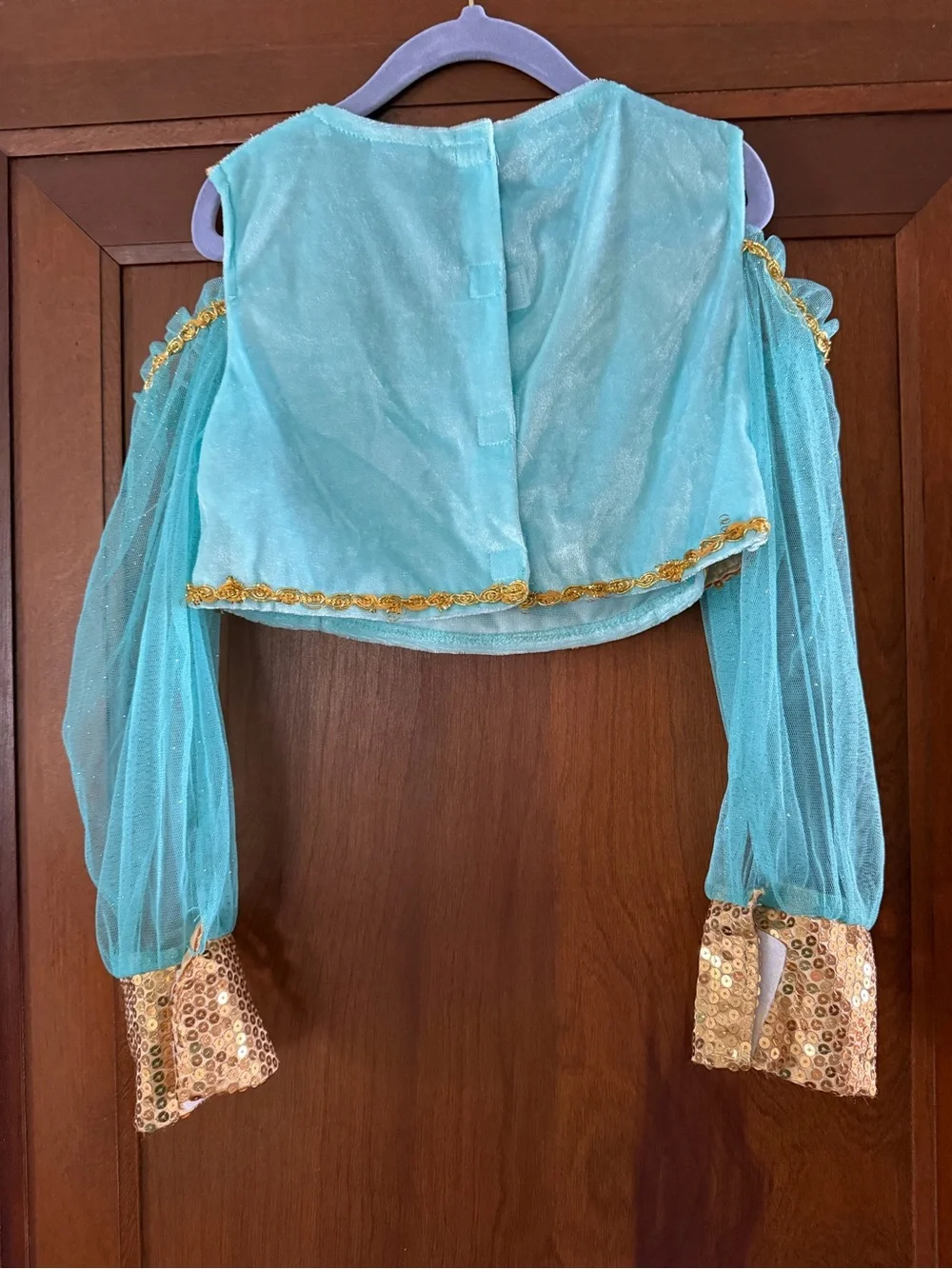 Kids Shimmery Teal Genie/Jasmine Costume with Gold Trim